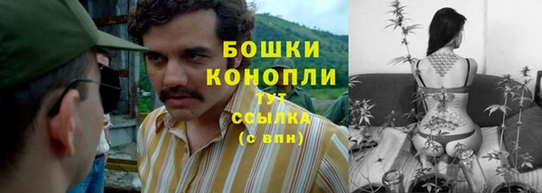 не бодяженный Белокуриха