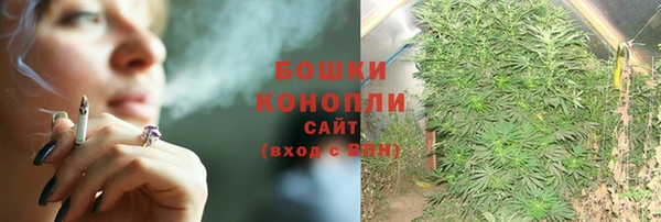 не бодяженный Белокуриха